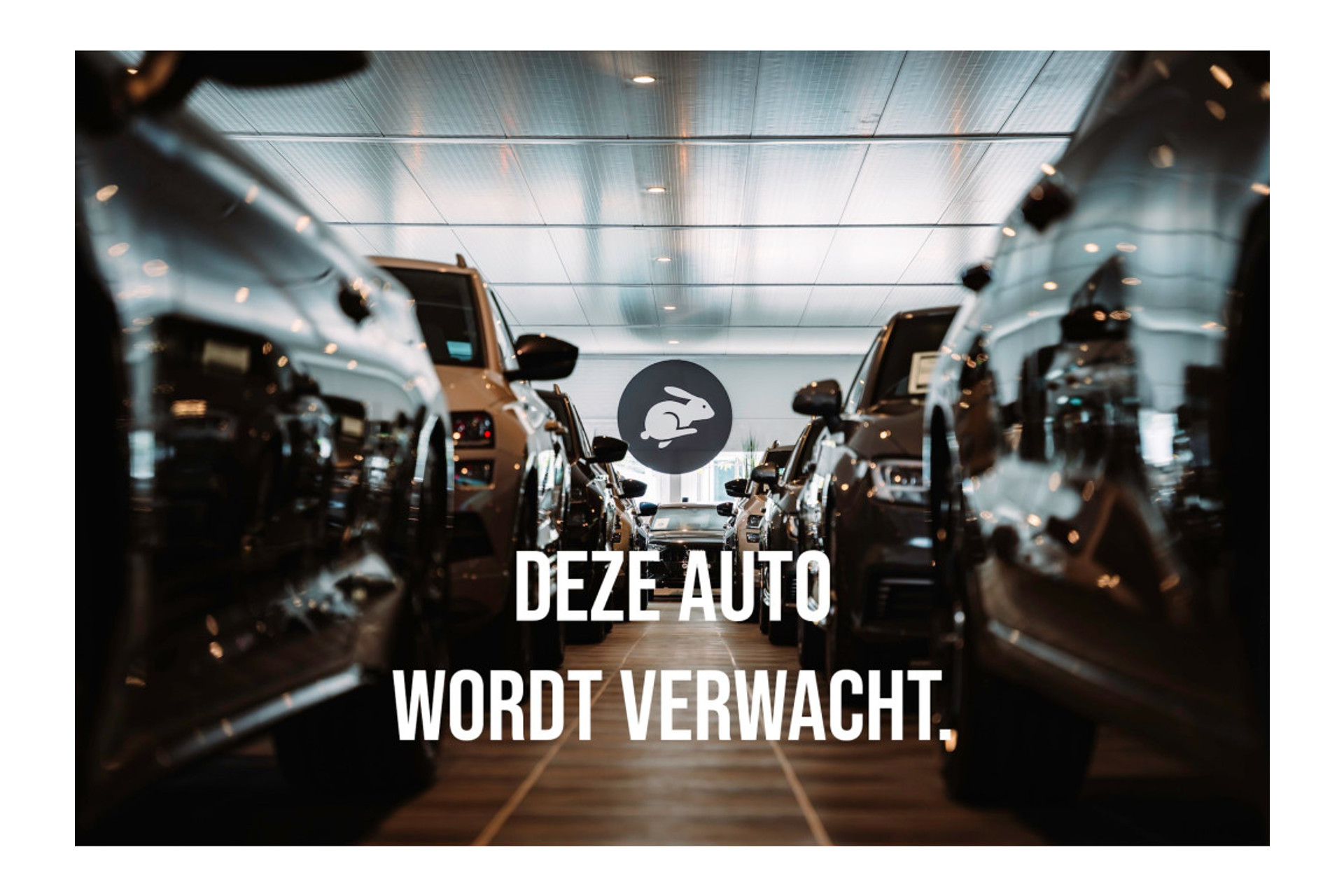 Volkswagen T-Roc 1.5 TSI R-Line Black Style|Pano dak|Trekhaak|Alcantara|Acc 50283320-0.jpg | De Haas Auto